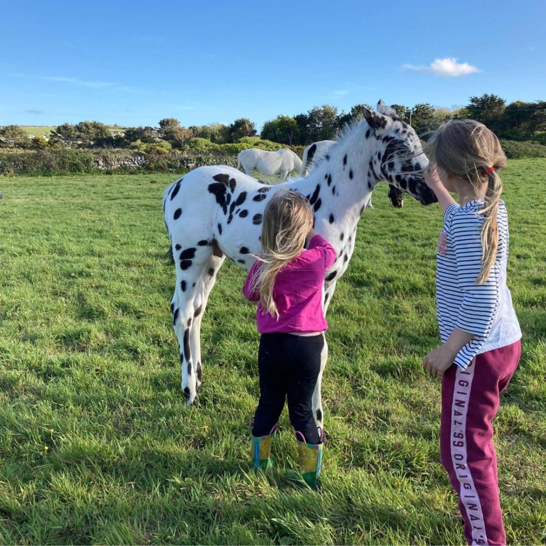 Appartamento The Stables In St Ives Esterno foto